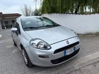 Usata Fiat Punto Street 69 CV (50 kW) 2017 Utilitaria