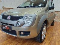 Usata Fiat Panda Cross Cross 69 CV (50 kW) 2009 Grigio Utilitaria