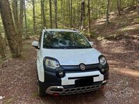 Usata Fiat Panda Cross Cross 2019 Bianco Utilitaria
