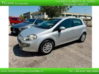 Usata Fiat Punto Evo 95 CV (69 kW) 2011 Argento Utilitaria