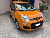 Usata Fiat Panda Easy 69 CV (50 kW) 2019 Arancione Utilitaria