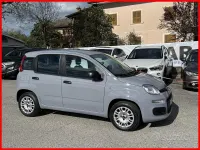 Usata Fiat Panda 69 CV (50 kW) 2019 Grigio Utilitaria