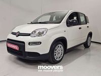 Usata Fiat Panda S 70 CV (51 kW) 2024 Bianca Utilitaria