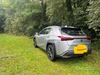Usata Lexus UX 152 CV (111 kW) 2023 Grigio SUV
