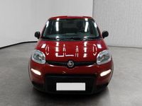 Usata Fiat Panda S 69 CV (50 kW) 2024 Rosso Berlina