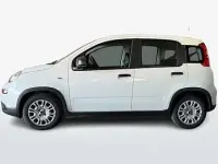 Usata Fiat Panda Easy 69 CV (50 kW) 2024 Bianco Utilitaria