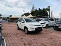 Usata Fiat Panda Cross Cross 69 CV (50 kW) 2024 Other Utilitaria