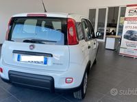 Usata Fiat Panda S 70 CV (51 kW) 2023 Bianco Utilitaria