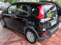 Usata Fiat Panda S 69 CV (50 kW) 2024 Nero Utilitaria