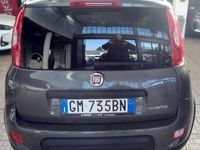 Usata Fiat Panda City Life 69 CV (50 kW) 2022 Grigio Utilitaria