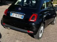 Usata Fiat 500 Collezione 69 CV (50 kW) 2019 Utilitaria