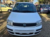 usata Fiat Panda 1100 benzina 55cv