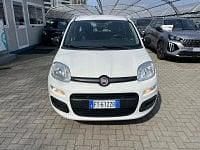 Usata Fiat Panda Easy 69 CV (50 kW) 2019 Bianco Utilitaria