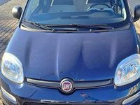Usata Fiat Panda Pop 69 CV (50 kW) 2015 Blu/azzurro Utilitaria