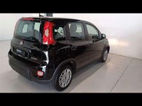 Usata Fiat Panda S 69 CV (50 kW) 2023 Nero Utilitaria