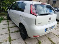 Usata Fiat Punto Evo 69 CV (50 kW) 2014 Utilitaria