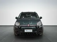 Usata Fiat Panda Cross Cross 70 CV (51 kW) 2025 Verde foresta Utilitaria