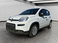 Usata Fiat Panda S 70 CV (51 kW) 2024 Bianco Utilitaria
