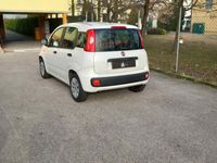 usata Fiat Panda 2ª serie 1.2 EasyPower Classic