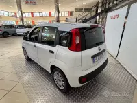 Usata Fiat Panda Easy 69 CV (50 kW) 2015 Bianco Utilitaria