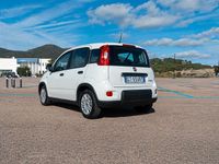 Usata Fiat Panda S 70 CV (51 kW) 2024 Bianco Utilitaria