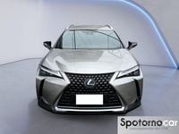 Usata Lexus UX Luxury Line 183 CV (134 kW) 2019 Grigio SUV
