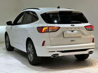 Begagnad Ford Kuga ST-Line 120 HK (88 kW) 2023 Vit SUV