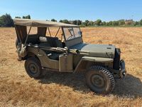 Usata Jeep Willys 2021 Verde