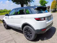 Gebraucht Land Rover Range Rover evoque SE Dynamic 150 PS (110 kW) 2018 Weiß SUV