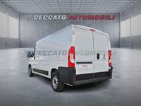 Usata Fiat Ducato Easy 140 CV (102 kW) 2023 Bianco Furgone