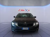 Usata Skoda Octavia G-TEC Executive 110 CV (80 kW) 2017 Grigio metallizzato Station wagon