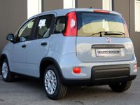 usata Fiat Panda Panda NUOVA MY23-1.0 70cv Hybrid