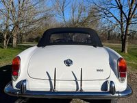Usata Alfa Romeo Giulia Spider 92 CV (67 kW) 1964 Bianco Cabrio