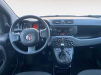 Usado Fiat Panda City Life 70 CV (51 kW) 2021 Gris Utilitario