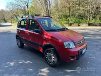 Usata Fiat Panda 4x4 Climbing 60 CV (44 kW) 2006 Rosso Utilitaria