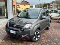 usata Fiat Panda Cross 1.0 FireFly S&S Hybrid