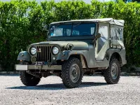 Usata Jeep Willys 71 CV (52 kW) 1950 Verde SUV