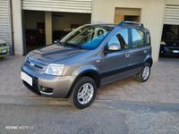 Usata Fiat Panda 4x4 75 CV (55 kW) 2011 Bianco Utilitaria