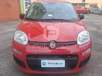 usata Fiat Panda 1.2 Easy