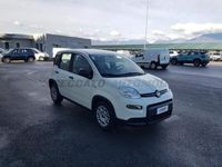 usata Fiat Panda Panda My24 1.0 70cv Hybrid