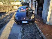 Usata Fiat Punto Evo 2016 Utilitaria