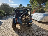 Usata Jeep Wrangler 184 CV (135 kW) 1994 Blu SUV