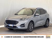Usata Ford Kuga ST-Line X 225 CV (165 kW) 2023 Argento SUV