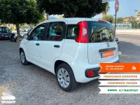 Usata Fiat Panda Easy 69 CV (50 kW) 2019 Utilitaria