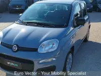 Käytetty Fiat Panda S 70 HP (51 kW) 2022 Harmaa Viistoperä