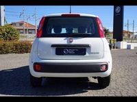 Usata Fiat Panda 69 CV (50 kW) 2024 Bianco divino Utilitaria