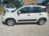 Usata Fiat Panda City Life 69 CV (50 kW) 2023 Bianco Utilitaria