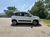 Usata Fiat Panda 2013 Bianco Utilitaria