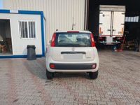 usata Fiat Panda 3ª serie - 2014