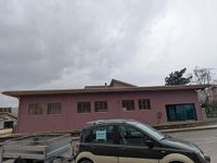 Usata Fiat Panda Cross 95 CV (69 kW) 2008 Verde Utilitaria